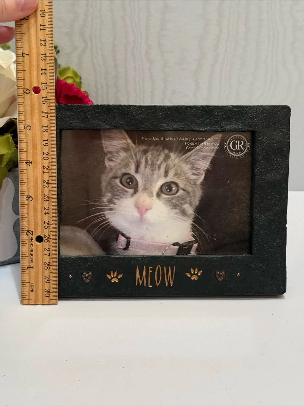 NEW Vintage Grasslands Road MEOW Faux Cement Kitty Cat Frame